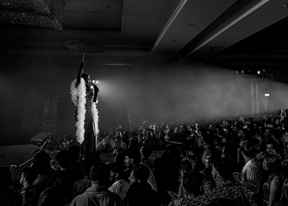 Home Page The Queer Section